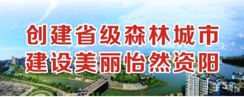 被鸡巴操的好爽视频创建省级森林城市 建设美丽怡然资阳